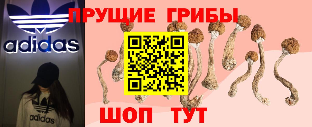 Псилоцибиновые грибы мицелий  Вход с VPN  Вятские Поляны 