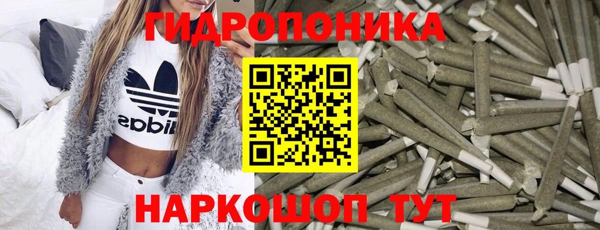 Канабис конопля Вятские Поляны